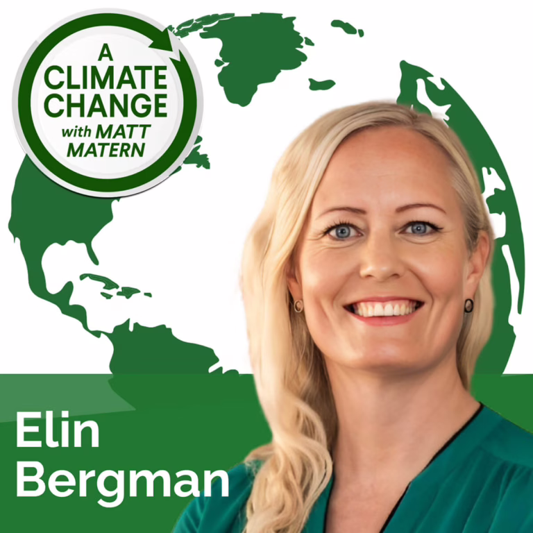 187: The Hidden Truth About Corporate Sustainability with Elin Bergman